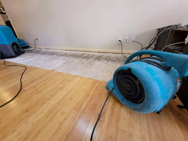 Professional Water Damage Repair technician working in St Columbans, NE